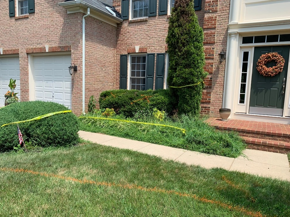 New Front Yard by MA Cleaning & Landscaping Design Inc - Photo 4