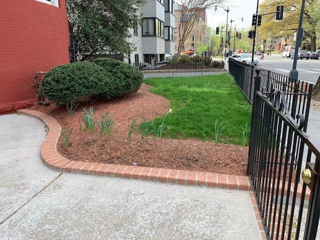 Landscape Remodel by MA Cleaning & Landscaping Design Inc - Photo 3