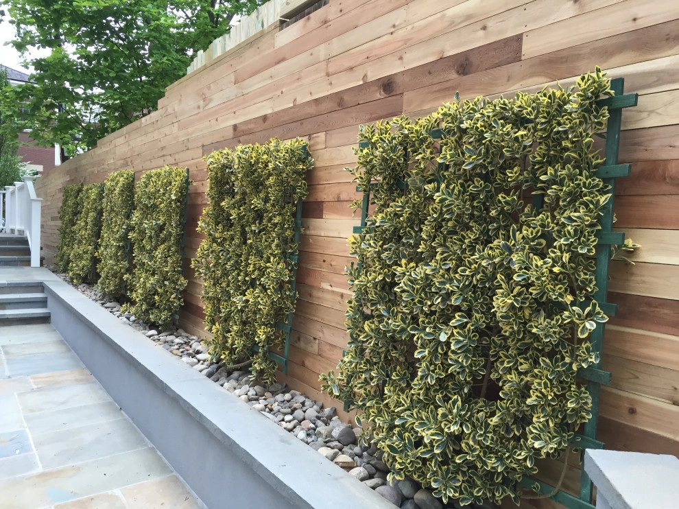 Creating curb appeal by MA Cleaning & Landscaping Design Inc - Photo 11