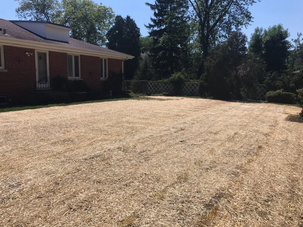 Mack Land, LLC - Photo 10