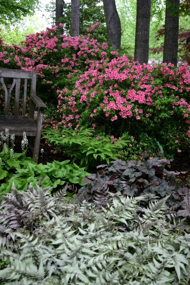 Woodland garden by Magee Design - Photo 10