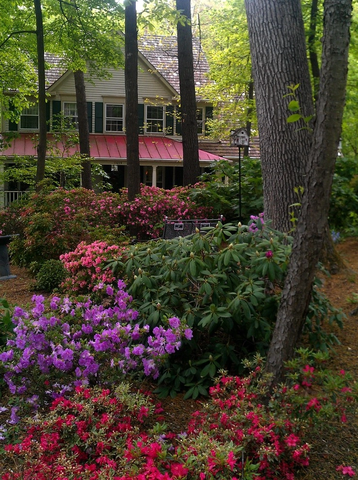 Woodland garden by Magee Design - Photo 4