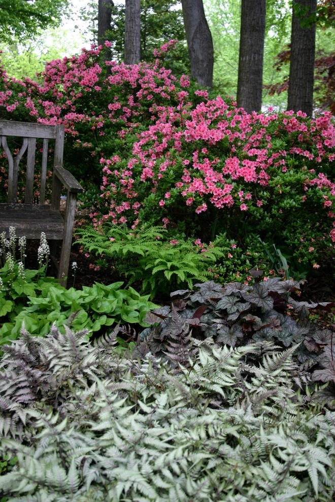 Woodland garden by Magee Design - Photo 2
