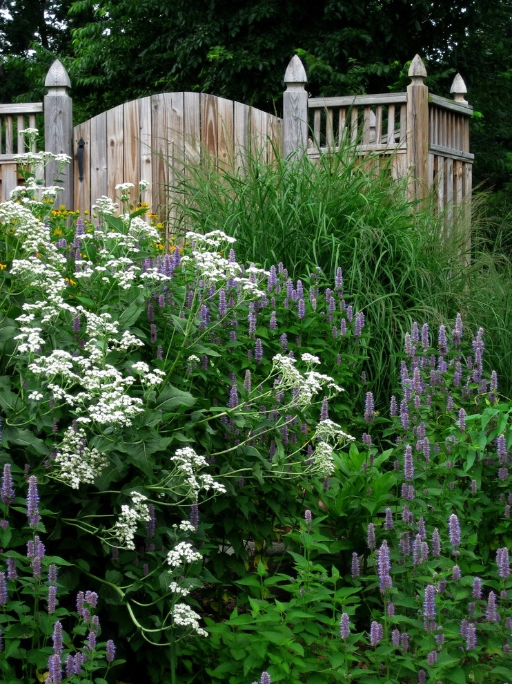 Native landscape by Magee Design - Photo 8