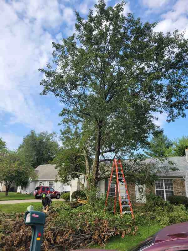 Alberto Alavez Professional Lawn Services LLC 4 by Alberto Alavez Professional Lawn Services LLC - Photo 127