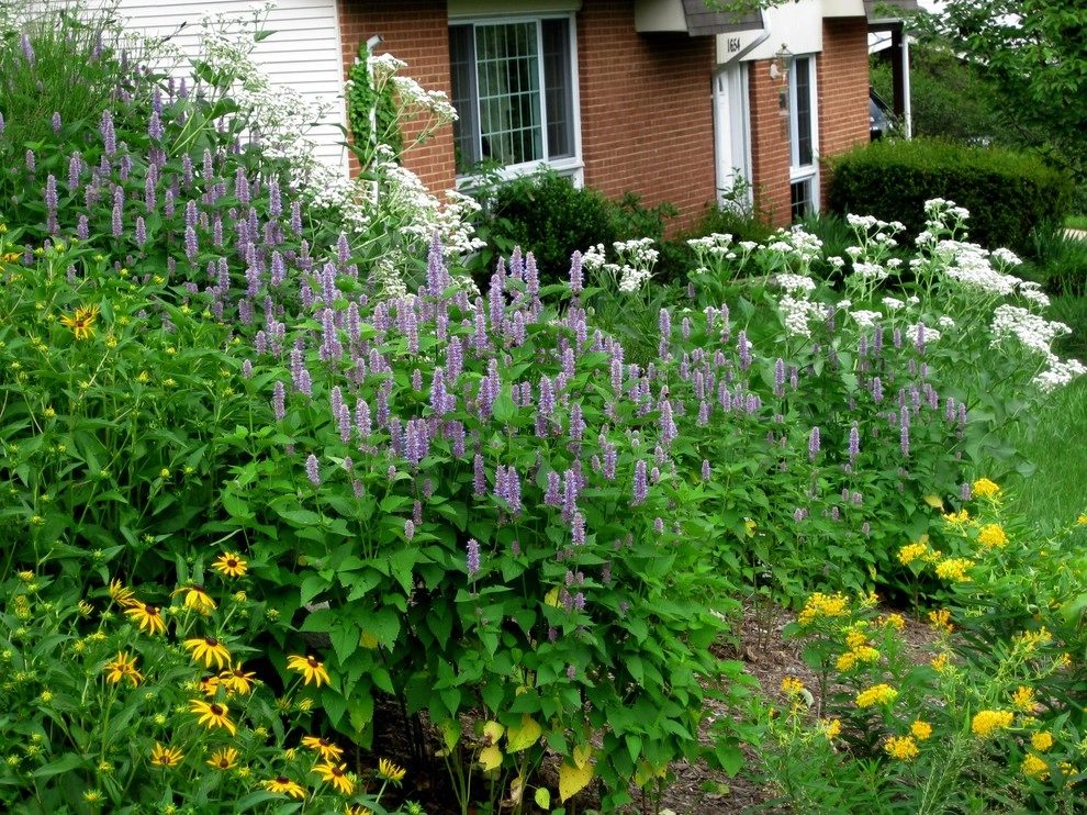 Native landscape by Magee Design - Photo 7