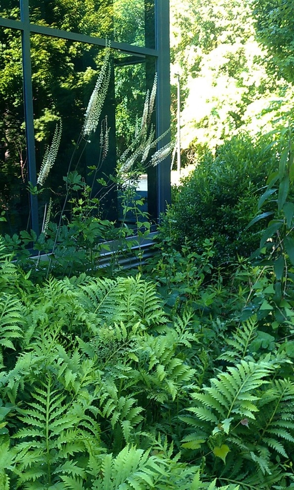 National Wildlife Federation by Magee Design - Photo 2