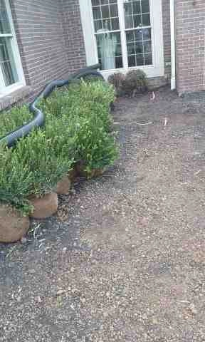Alberto Alavez Professional Lawn Services LLC 4 by Alberto Alavez Professional Lawn Services LLC - Photo 60