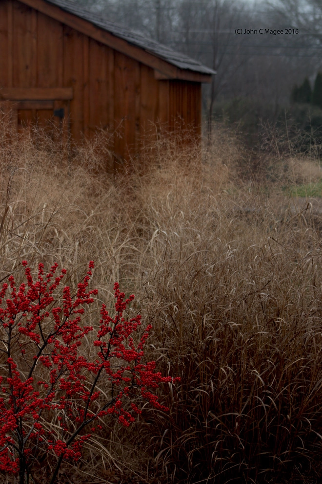 Winter interest by Magee Design - Photo 10
