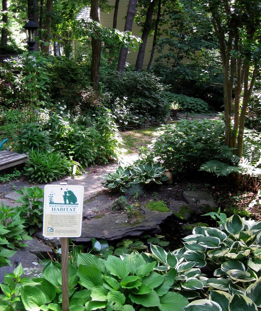 Woodland garden by Magee Design - Photo 3