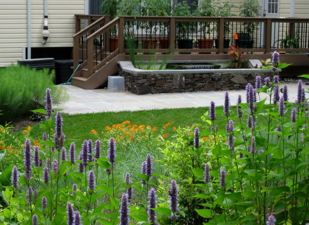 Native landscape by Magee Design - Photo 9