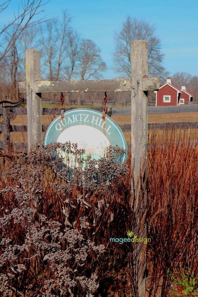 Winter interest by Magee Design - Photo 9