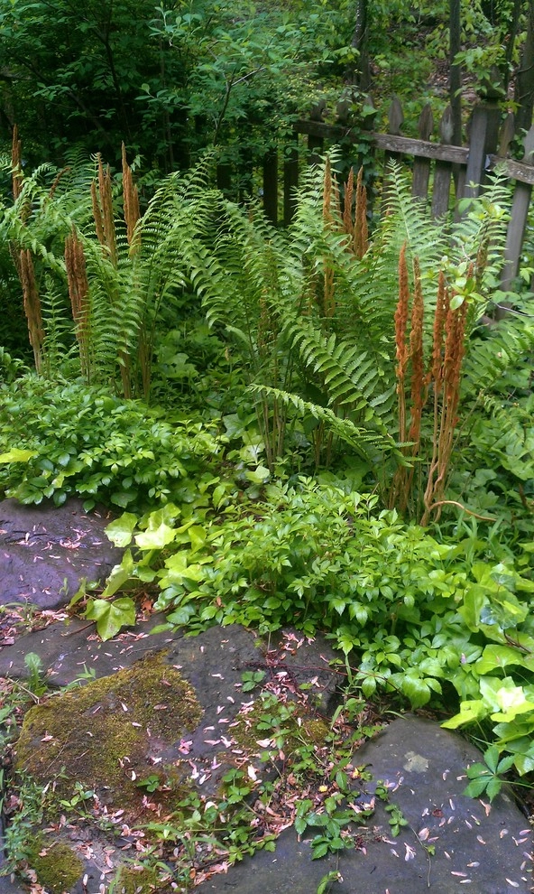 Woodland garden by Magee Design - Photo 6