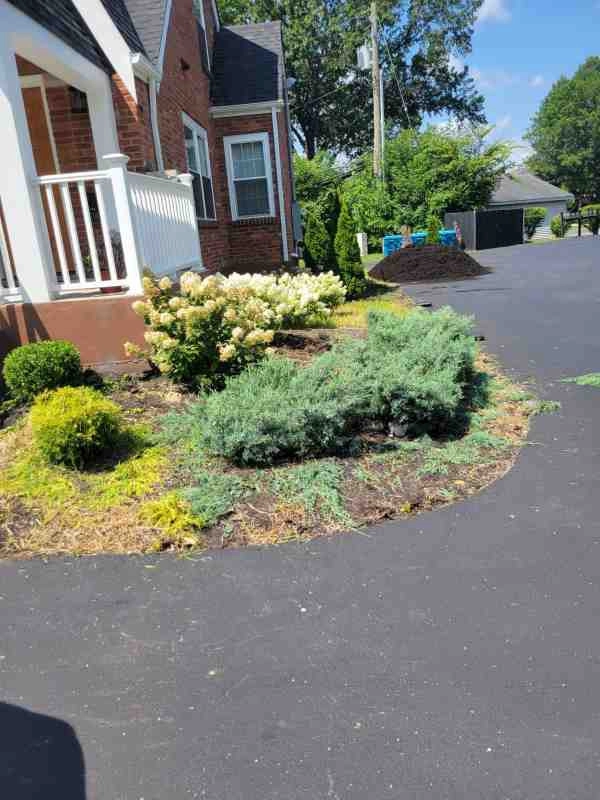 Alberto Alavez Professional Lawn Services LLC 4 by Alberto Alavez Professional Lawn Services LLC - Photo 122