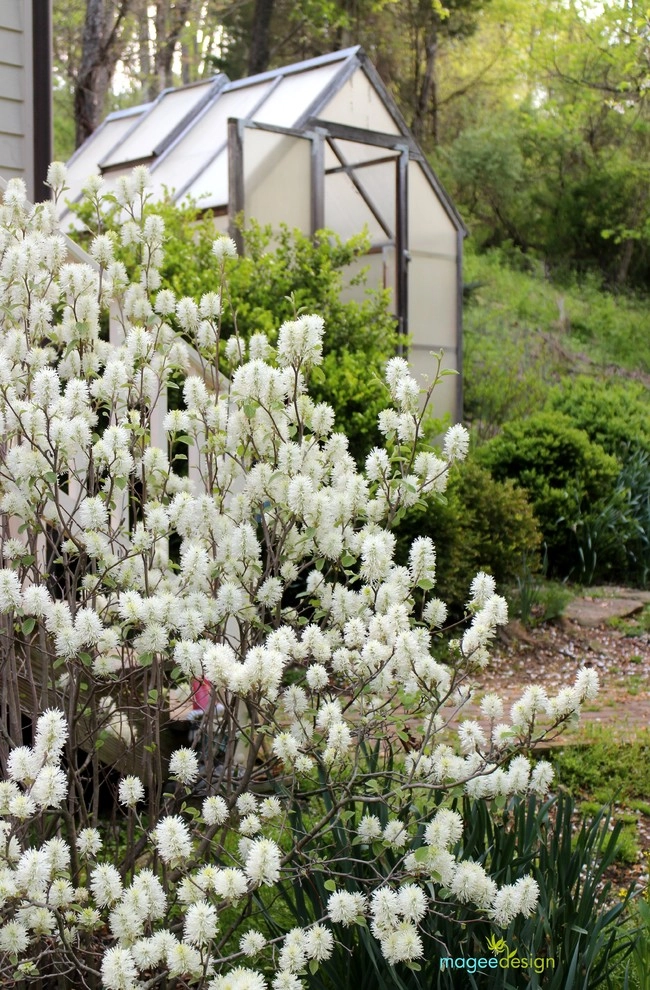 Spring 2015 by Magee Design - Photo 6