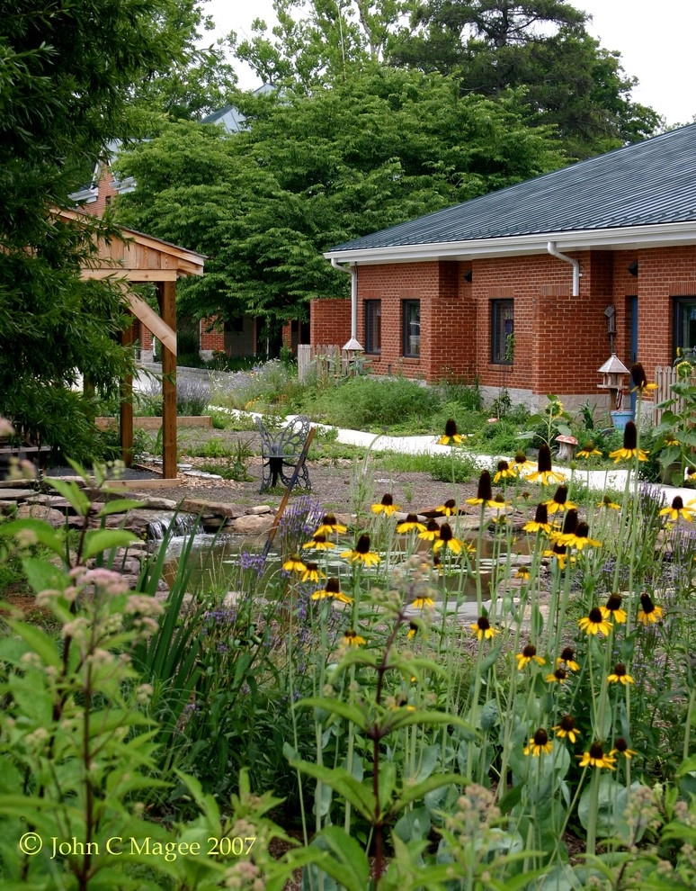 Boyce rain garden by Magee Design - Photo 4