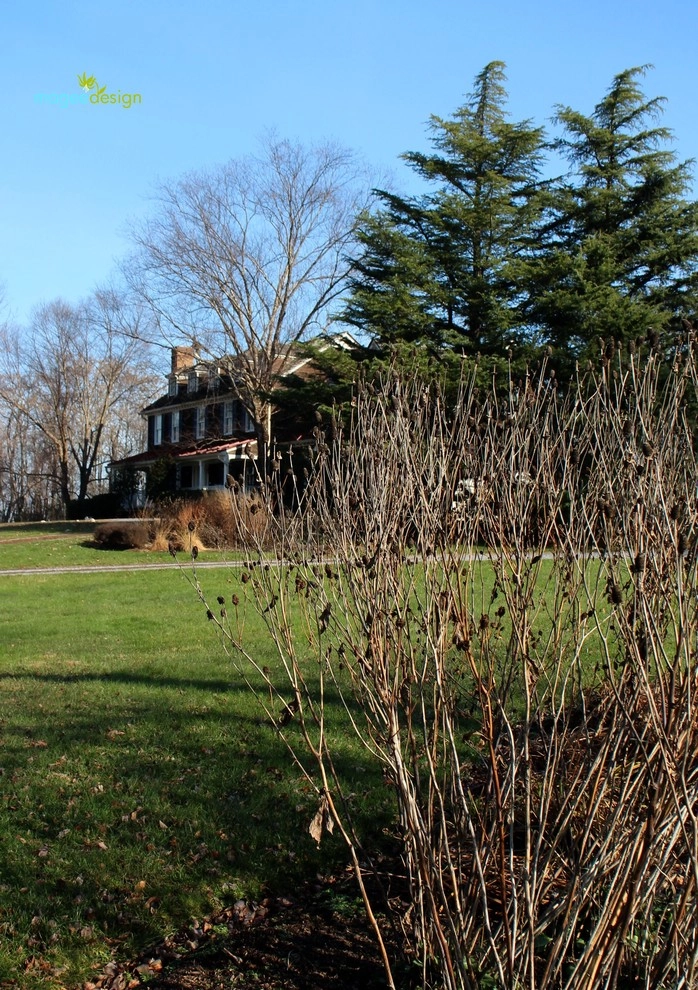 Winter interest by Magee Design - Photo 6