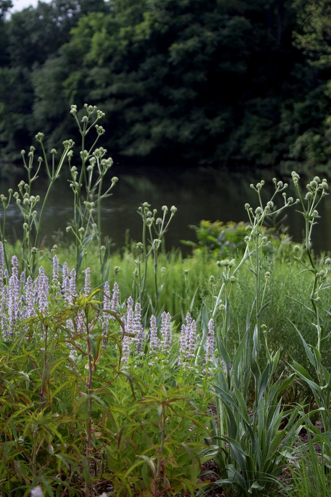 Alder Lake by Magee Design - Photo 4