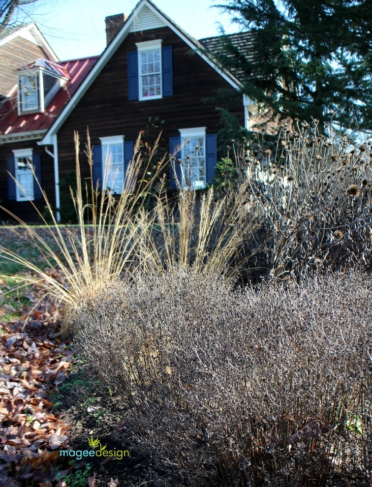 Winter interest by Magee Design - Photo 4
