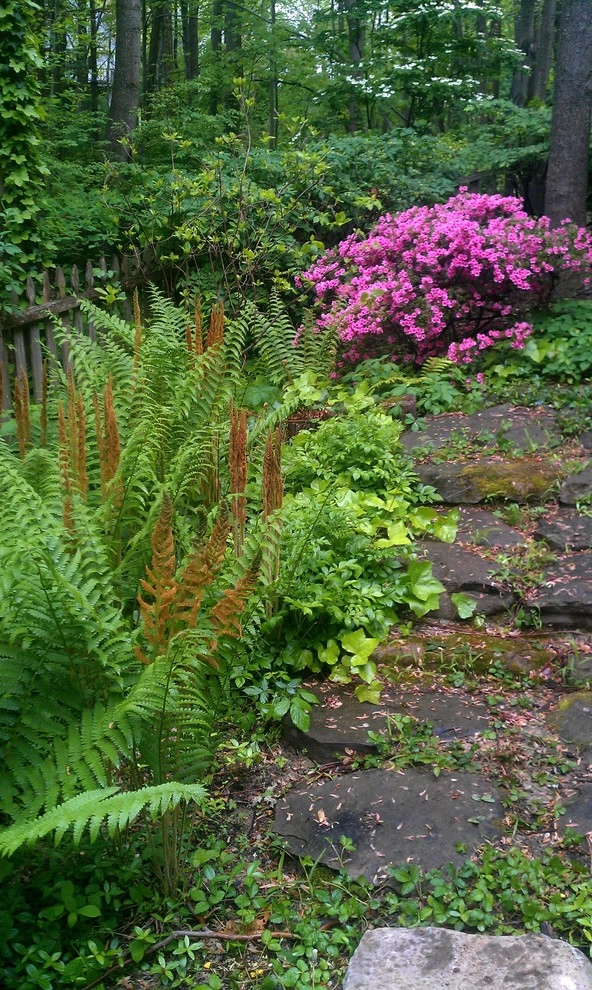 Woodland garden by Magee Design - Photo 7