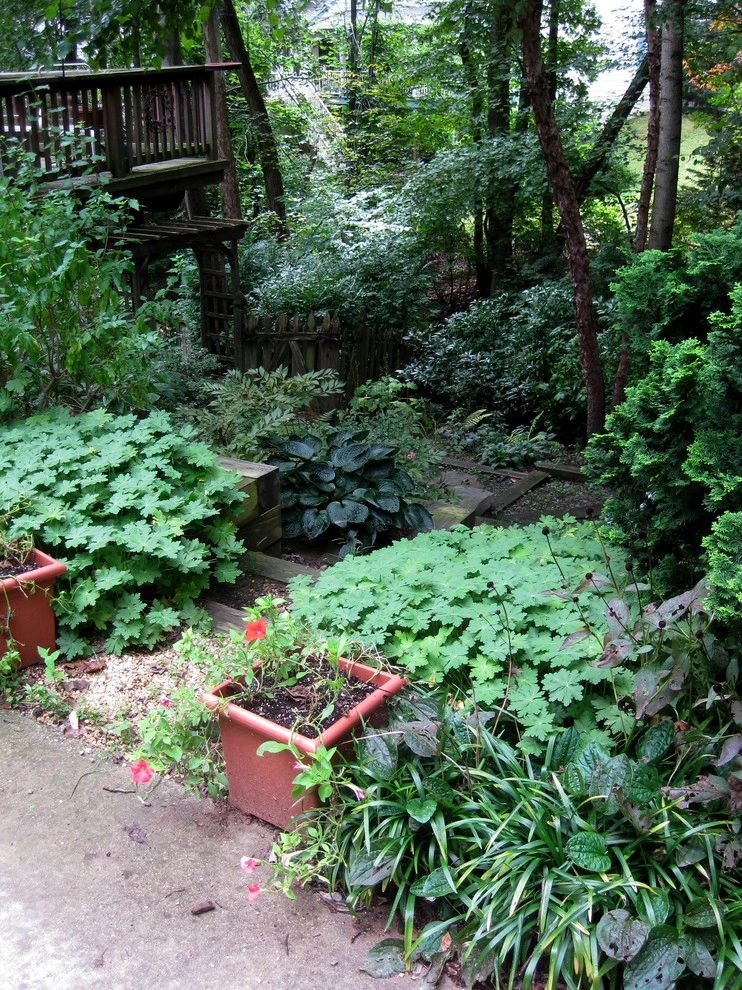 Woodland garden by Magee Design - Photo 11