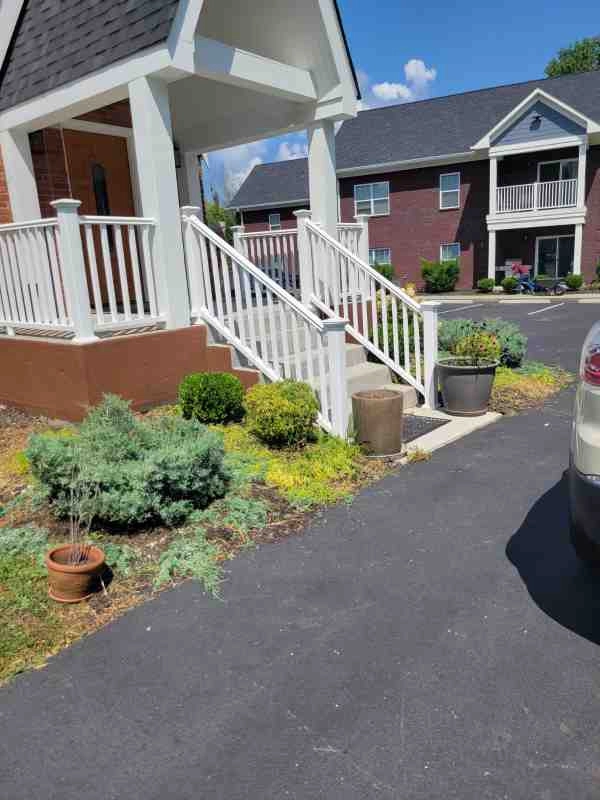 Alberto Alavez Professional Lawn Services LLC 4 by Alberto Alavez Professional Lawn Services LLC - Photo 149