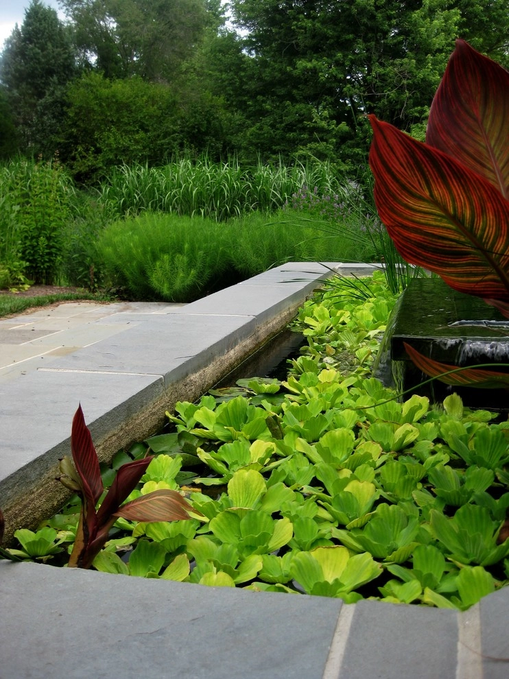 Native landscape by Magee Design - Photo 5