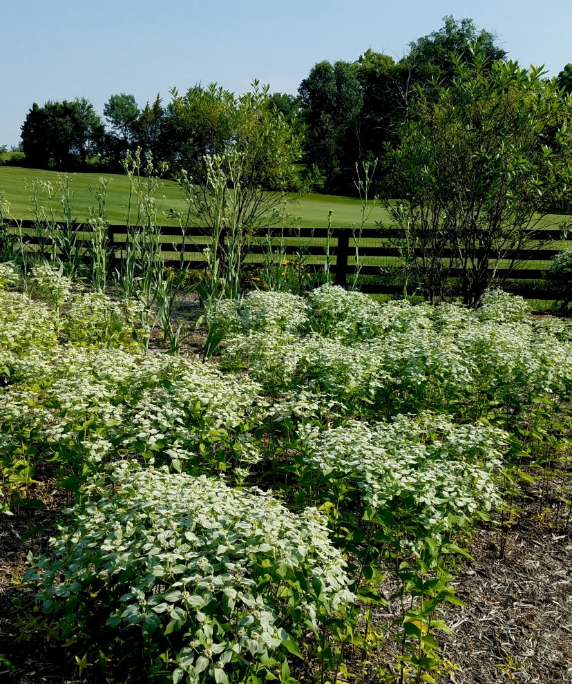 Creighton Farms by Magee Design - Photo 6