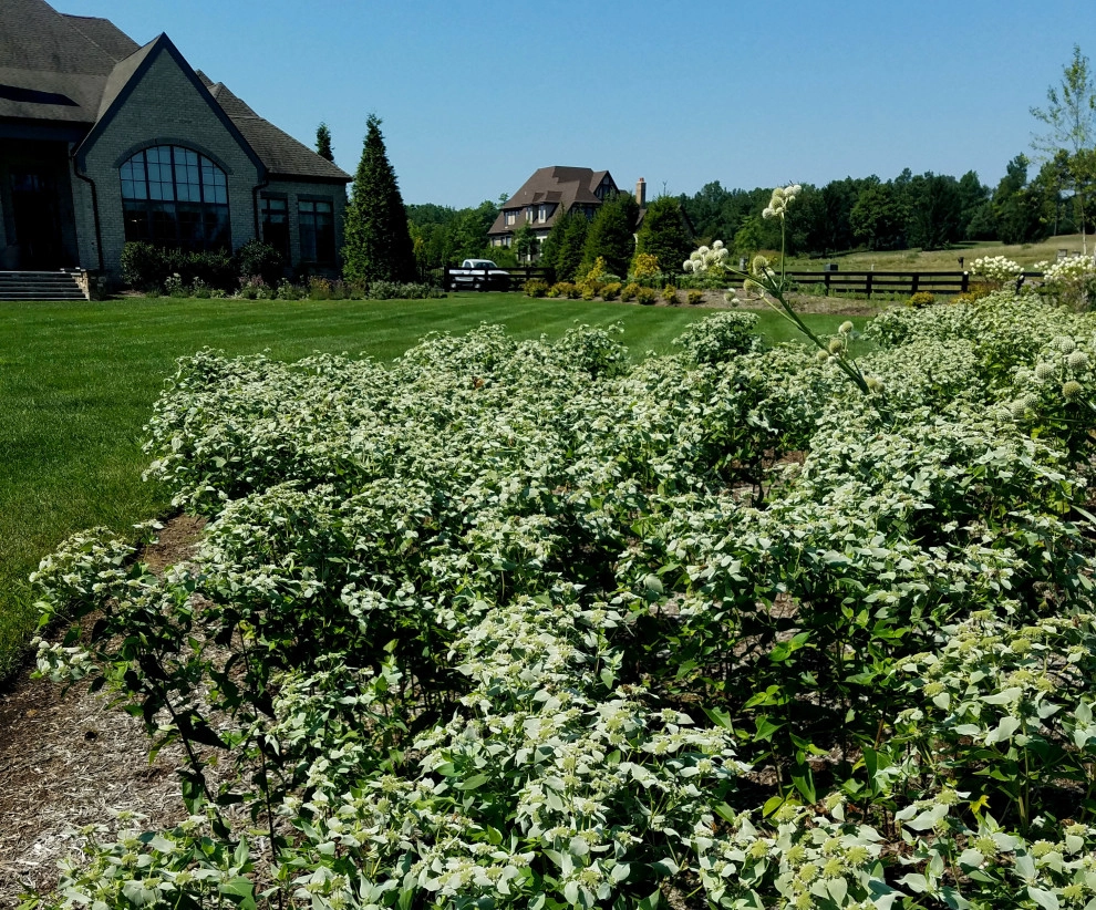Creighton Farms by Magee Design - Photo 5