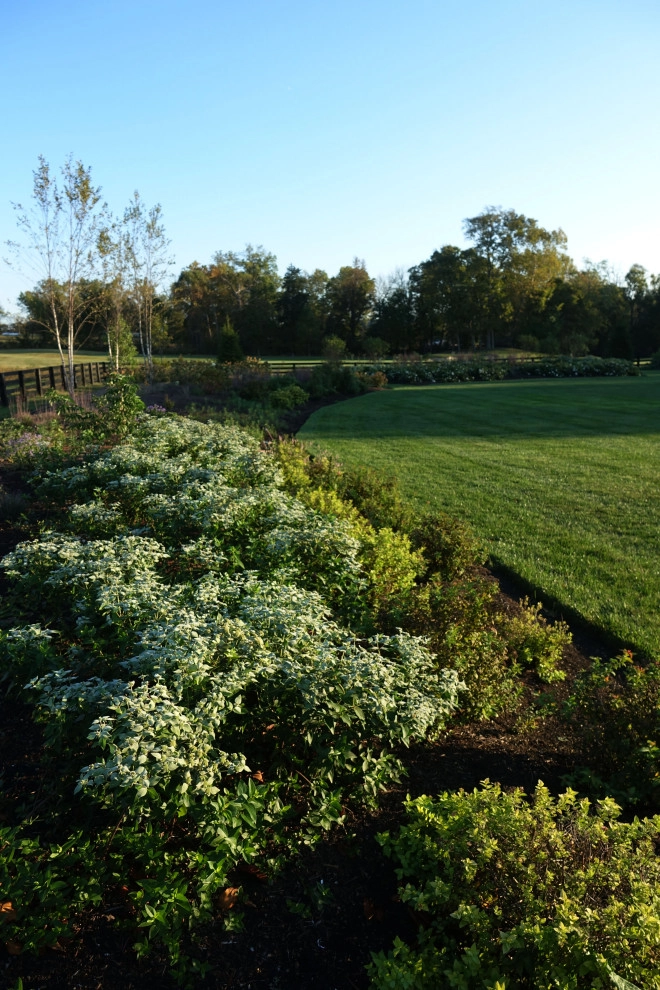 Creighton Farms by Magee Design - Photo 12