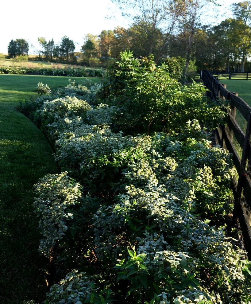 Creighton Farms by Magee Design - Photo 4