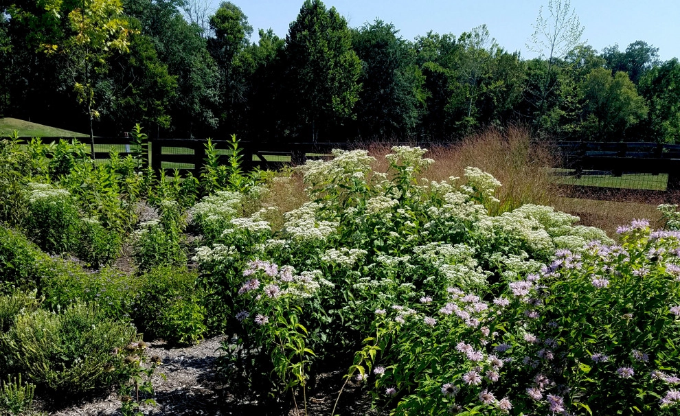 Creighton Farms by Magee Design - Photo 3
