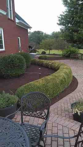 Alberto Alavez Professional Lawn Services LLC 4 by Alberto Alavez Professional Lawn Services LLC - Photo 62