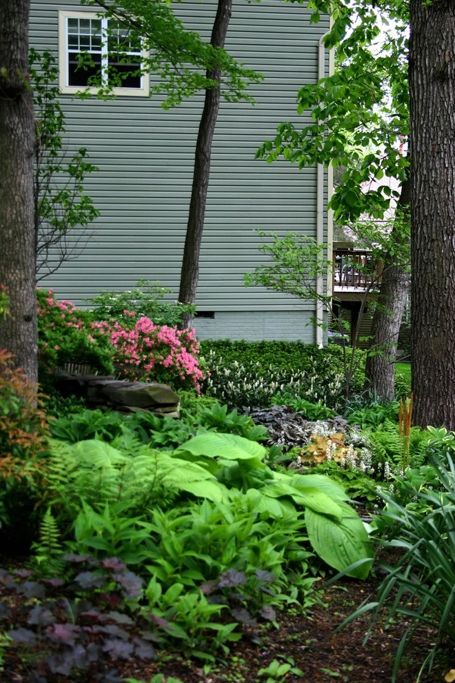 Woodland garden by Magee Design - Photo 12