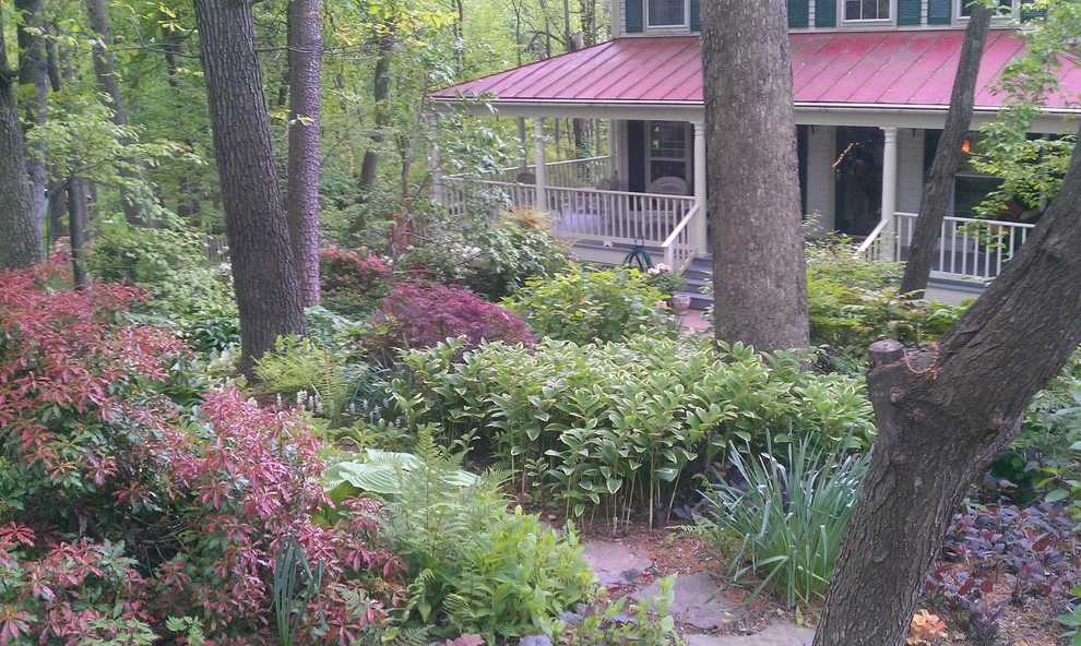 Woodland garden by Magee Design - Photo 5