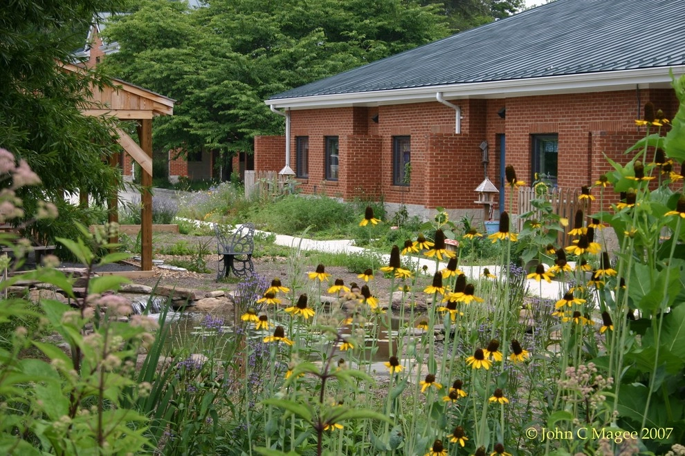 Boyce rain garden by Magee Design - Photo 3