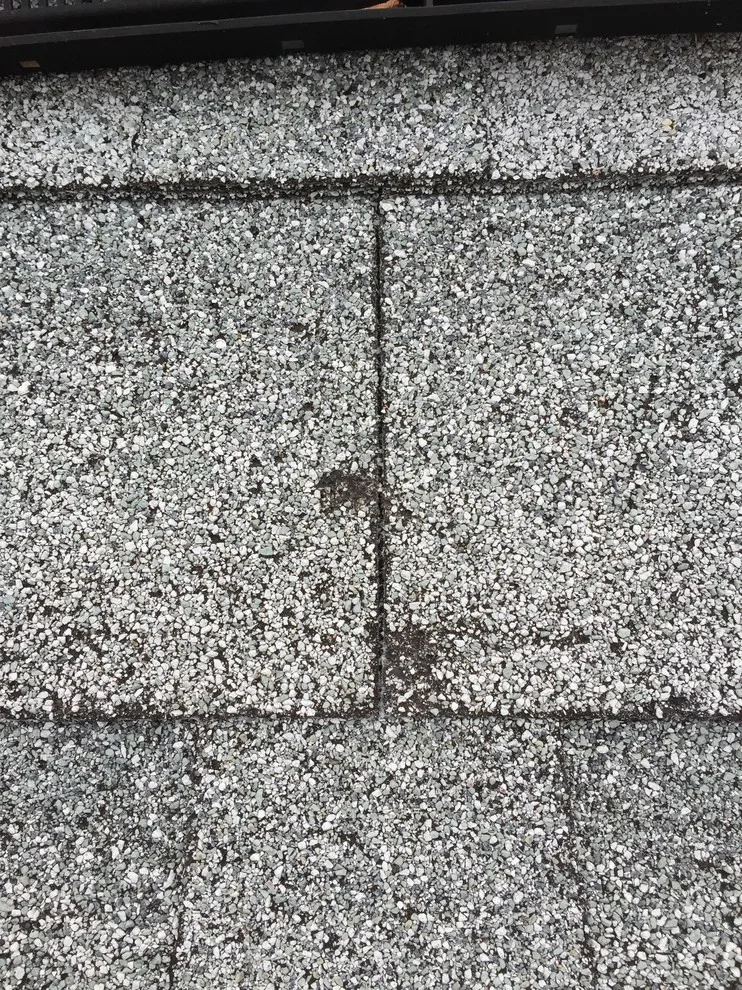 Southern Brazoria County Hail Storm - April 2015 by JC Remodeling & Restoration, LLC - Photo 20