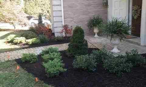 Alberto Alavez Professional Lawn Services LLC 4 by Alberto Alavez Professional Lawn Services LLC - Photo 160