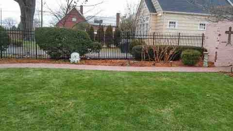 Alberto Alavez Professional Lawn Services LLC 4 by Alberto Alavez Professional Lawn Services LLC - Photo 100