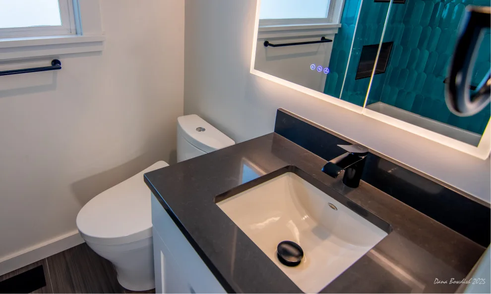 Art Deco bathroom renovation by Silver Peak Design Build - Photo 4