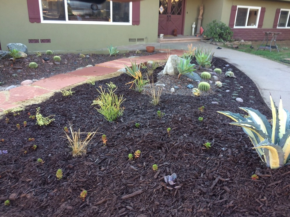 Mariposa by M&T Landscape Studios - Photo 4