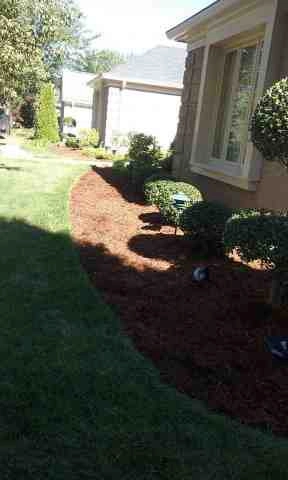 Alberto Alavez Professional Lawn Services LLC 4 by Alberto Alavez Professional Lawn Services LLC - Photo 6