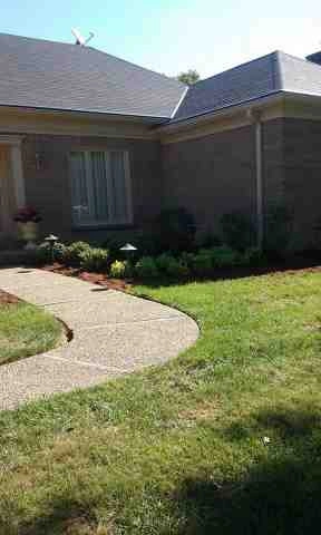 Alberto Alavez Professional Lawn Services LLC 4 by Alberto Alavez Professional Lawn Services LLC - Photo 125