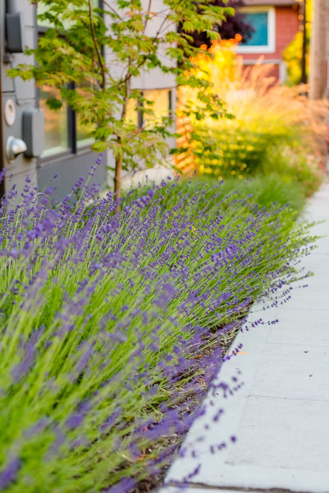 Fremont Firepit by Mark S. Garff, Landscape Architect - Photo 4