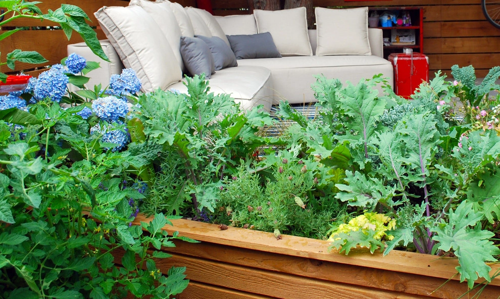 Edible Urban Oasis by Mark S. Garff, Landscape Architect - Photo 9