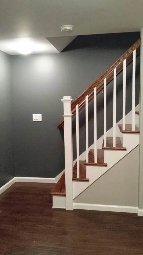 Cellar Revamp by Belle Ville Design Build - Photo 7