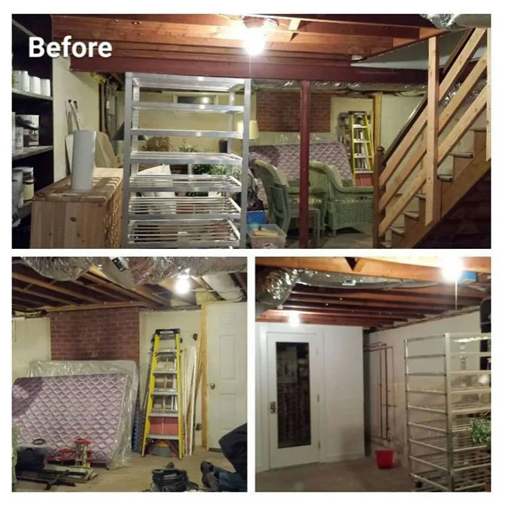 Cellar Revamp by Belle Ville Design Build - Photo 6
