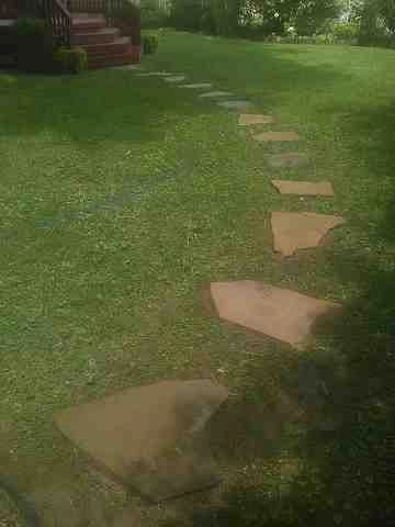 Alberto Alavez Professional Lawn Services LLC 4 by Alberto Alavez Professional Lawn Services LLC - Photo 77