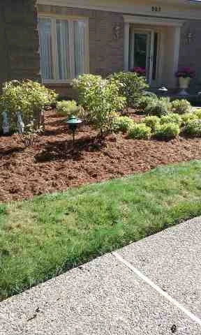 Alberto Alavez Professional Lawn Services LLC 4 by Alberto Alavez Professional Lawn Services LLC - Photo 182
