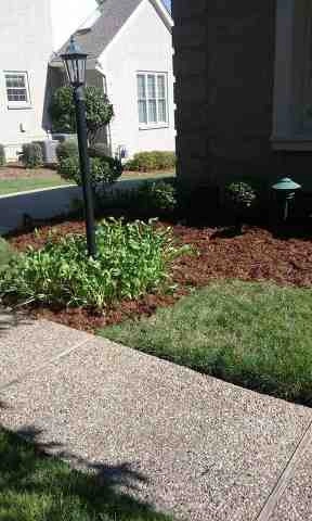Alberto Alavez Professional Lawn Services LLC 4 by Alberto Alavez Professional Lawn Services LLC - Photo 102